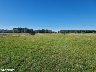 Dobrodzień, uroczy dom pod lasem