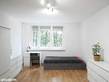 ul. Władysława Broniewskiego, Gen. Władysława Andersa, Rzeszów, podkarpackie