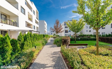 ul. Wierna, Elsnerów, Targówek, Warszawa, mazowieckie