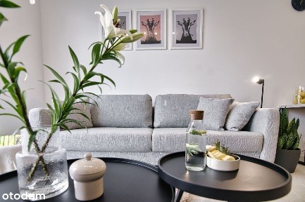 ZATOR MIESZKANIE NA WYNAJEM CAŁOROCZNY - jasne -przestronne -nowe