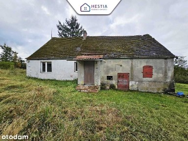 Dom wolnostojący z dużą działką.