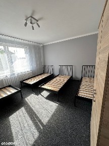 Dom w centrum Jasionki