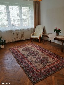Mieszkanie na parterze, 2 pokoje, balkon