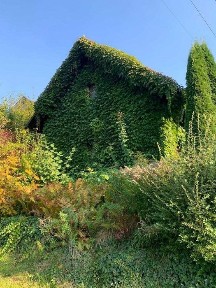 Dom bliźnak - gotowy biznes w Bieszczadach