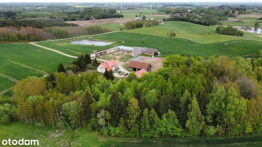 Klimatyczne siedlisko na mazurach ze stawem