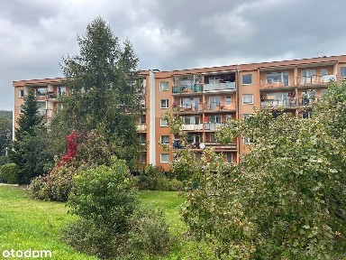 ul. Rydzowa, Pustki Cisowskie, Gdynia, pomorskie