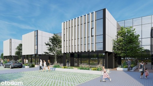 Ławica, Grunwald, Poznań, wielkopolskie