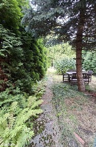 ul. Gołębia, Chorzów II, Chorzów, śląskie