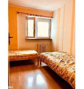 pl. Grunwaldzki, Plac Grunwaldzki, Śródmieście, Wrocław, dolnośląskie