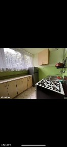 Mieszkanie, 48 m², Bogatynia