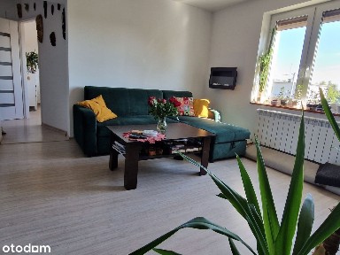 1/2 domu z mieszkaniem,piwnicą,garażem i pom gosp. Bez pośredników