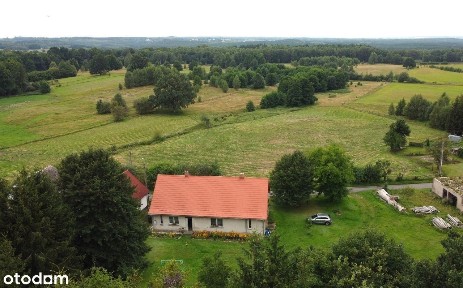 DOM z dużą działką wśród zieleni