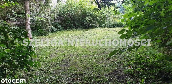 Pławniowice, Kamienca Do Remontu