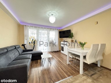 Centrum, Zielona Góra, lubuskie