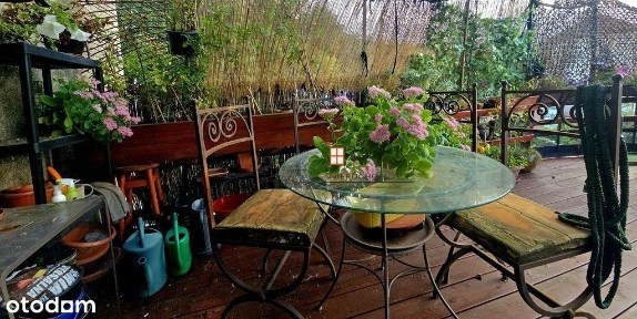 Przemyśl, stylowy apartament na Starym Mieście