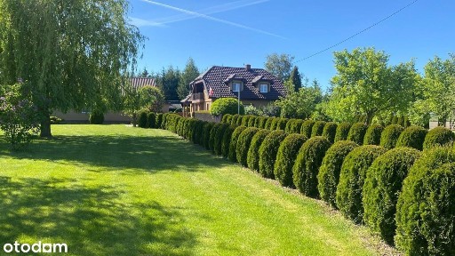 Idealny dom na wygodne życie poza miastem