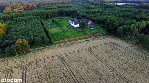 Agro Nieruchomość na Skraju Lasu