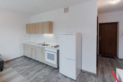 *Wynajmę przytulne studio, pet friendly. Pokoju 10