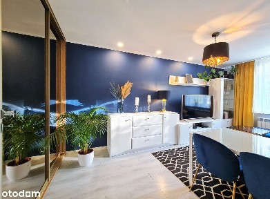 Nowy Bytom-polecamy wyremontowane M3 w bloku! 1 piętro!