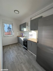 Do wynajęcia Dom w Sp[okojnej Okolicy!