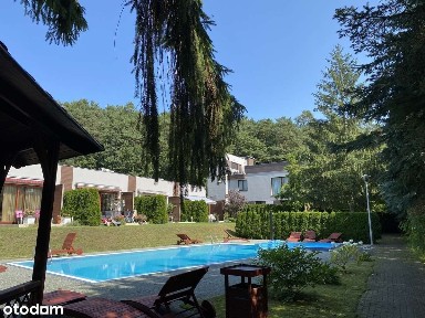 ul. Leśna, Wisełka, Wolin, kamieński, zachodniopomorskie