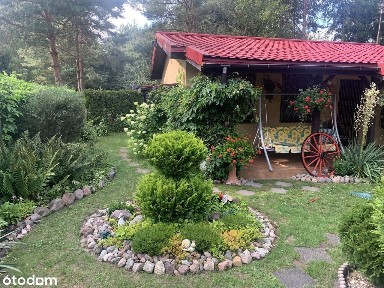 Dom z działką w spokojnej okolicy - Nienawiszcz k. Rogoźna