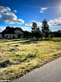 Siedlisko wirkende, Dom w stylu Dworek