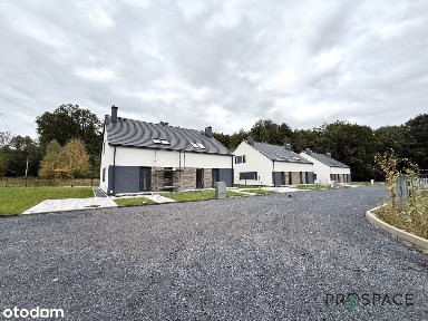 Nowoczesny bliźniak w sercu lasu - Droszków