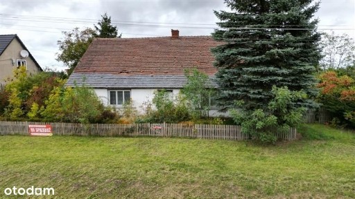 Zamieszkaj w spokojnym, pełnym zieleni miejscu