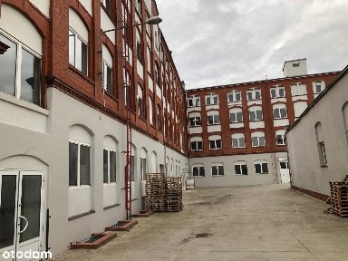 ul. ks. Piotra Ściegiennego 25, Legnica, dolnośląskie