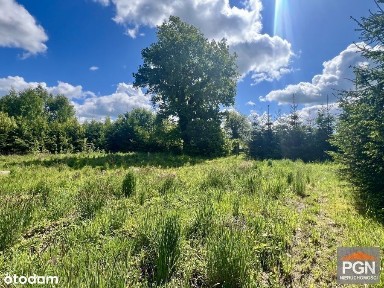 Domek na Dużej Działce Blisko Kamienia Pom