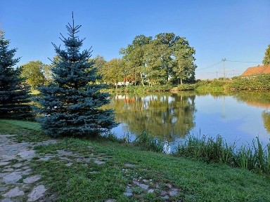 Dom nad stawem Wysoka