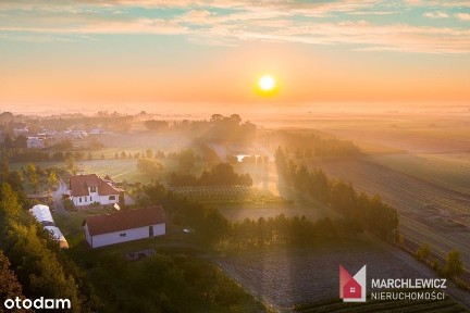 Urokliwa posiadłość | winnica | stawy | gaj figowy