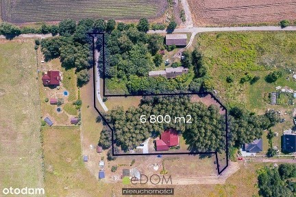 Deszczno, gorzowski, lubuskie