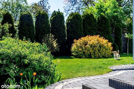 Dom wolnostojący zadbany jak nowy ogród Robakowo