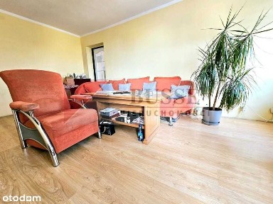 Turzyn, Śródmieście, Szczecin, zachodniopomorskie