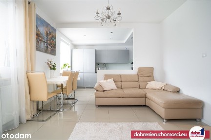 Mieszkanie Czyżkówko Sciana Lasu