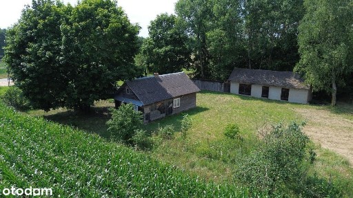 SIedlisko - kolonia Kuraszewo- 3,2946ha - las, rolne! DOM!