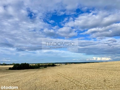 ul. Mściwoja, Kłodawa, Trąbki Wielkie, gdański, pomorskie