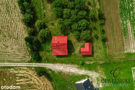 Zaciszne miejsce | Do aranżacji | 21 ar | Garaż