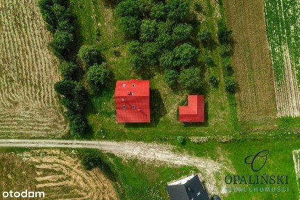 Zaciszne miejsce | Do aranżacji | 21 ar | Garaż