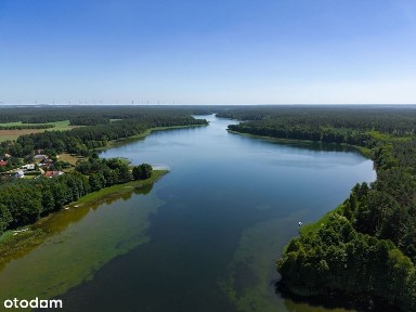 Dom w sercu natury-SPORE