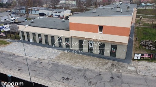 Aleja Wojska Polskiego, Centrum, Zielona Góra, lubuskie