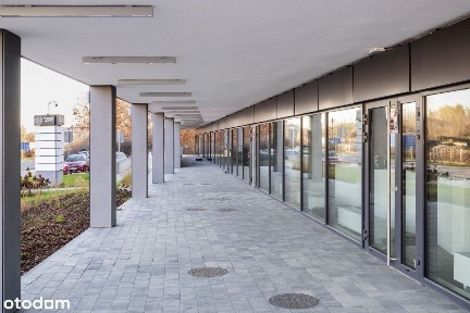 Brzeziny, Białołęka, Warszawa, mazowieckie