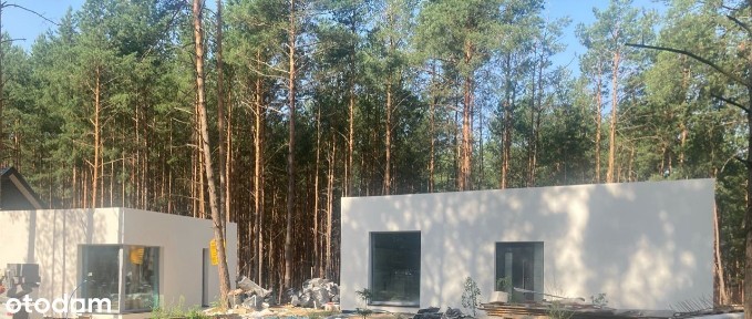 Nowoczesny dom na wynajem w otoczeniu lasu