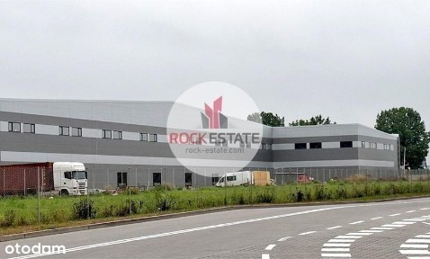 Magazyn Pęcice 3900 m2 od zaraz