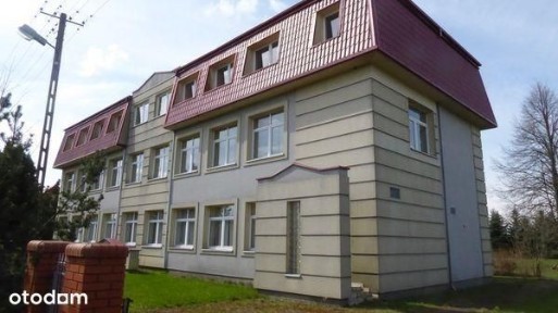 Piwaki, Łęki Szlacheckie, piotrkowski, łódzkie