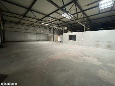 Skórzewo, Dopiewo, poznański, wielkopolskie