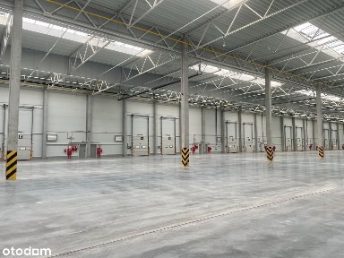 Nowoczesny magazyn Poznań 2000 m2 |Bez prowizji