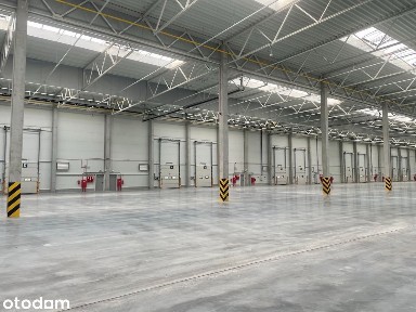 Nowoczesny magazyn Poznań 2000 m2 |Bez prowizji